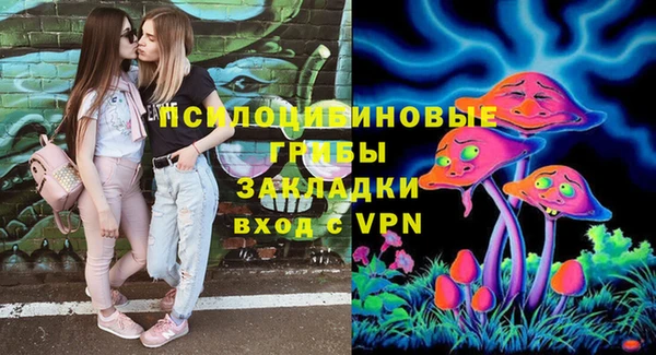 амф Алзамай