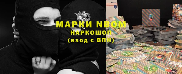 амф Алзамай