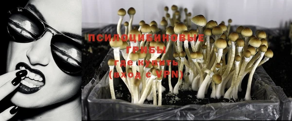 стафф Алексин