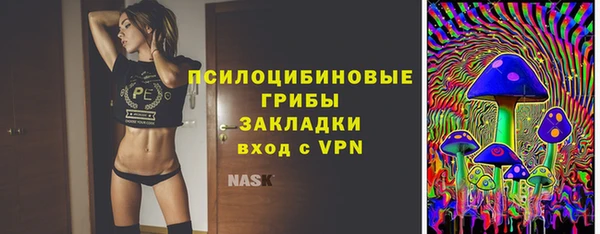 амф Алзамай
