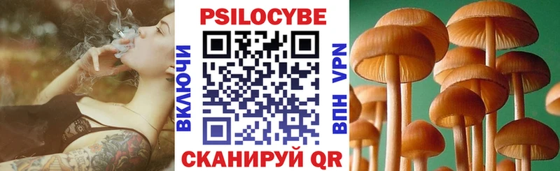 Псилоцибиновые грибы прущие грибы  hydra ссылка  Гаджиево  цена  